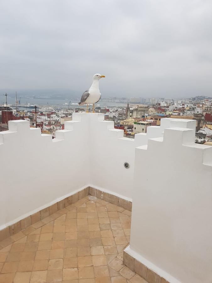 Maison Medina, Terrasse Panoramique, Vue Mer Tanger Exteriér fotografie